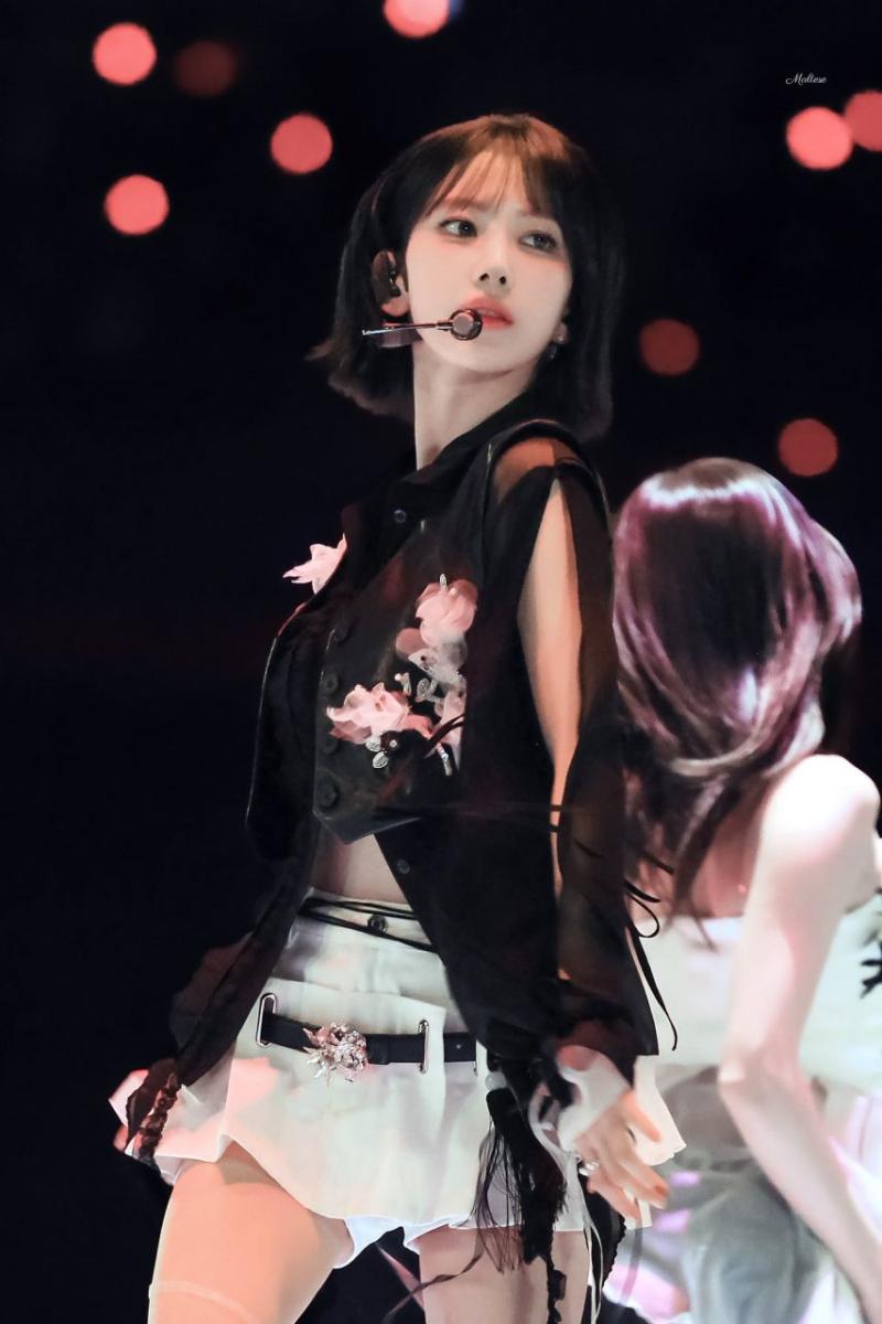 르세라핌 사쿠라