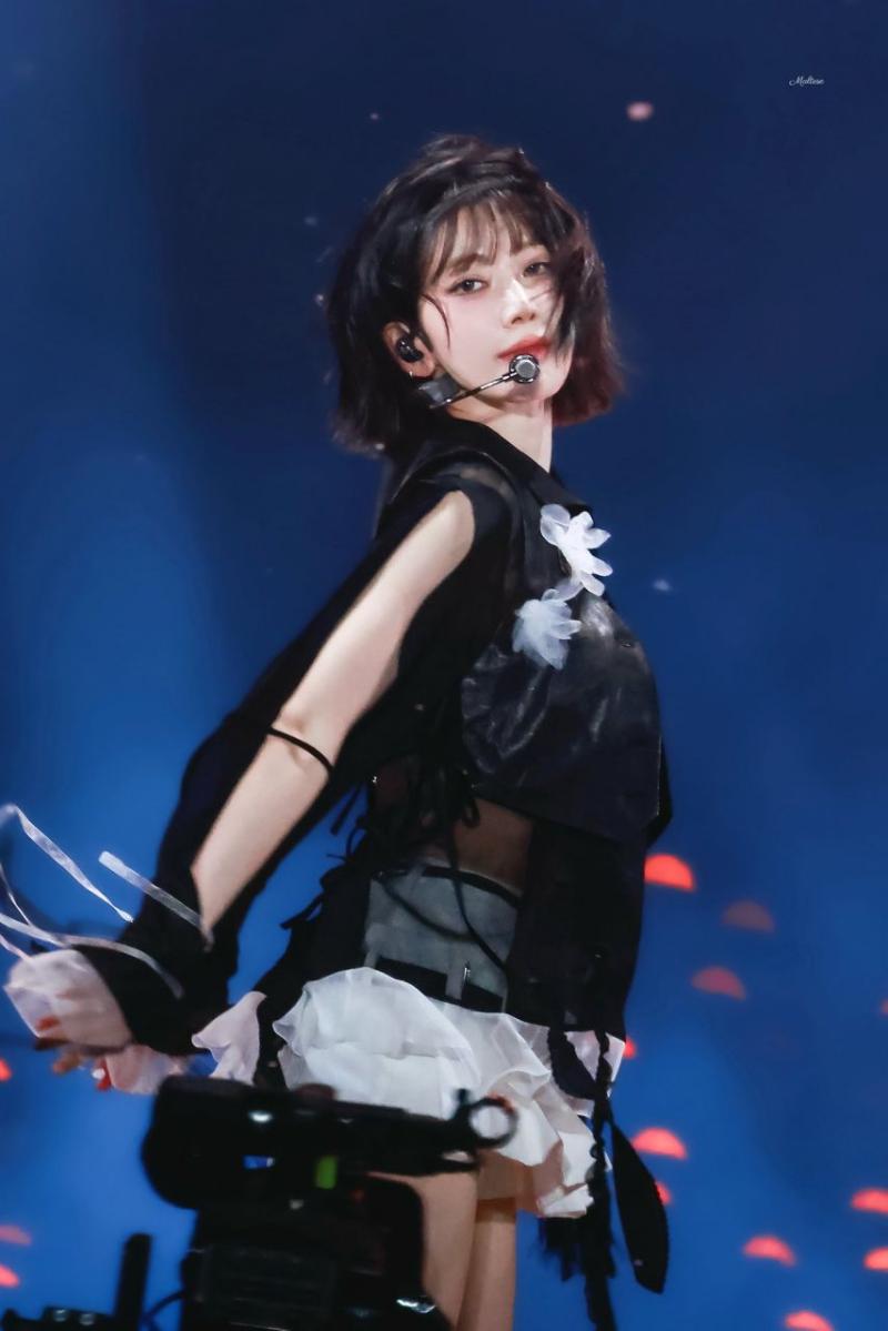 르세라핌 사쿠라
