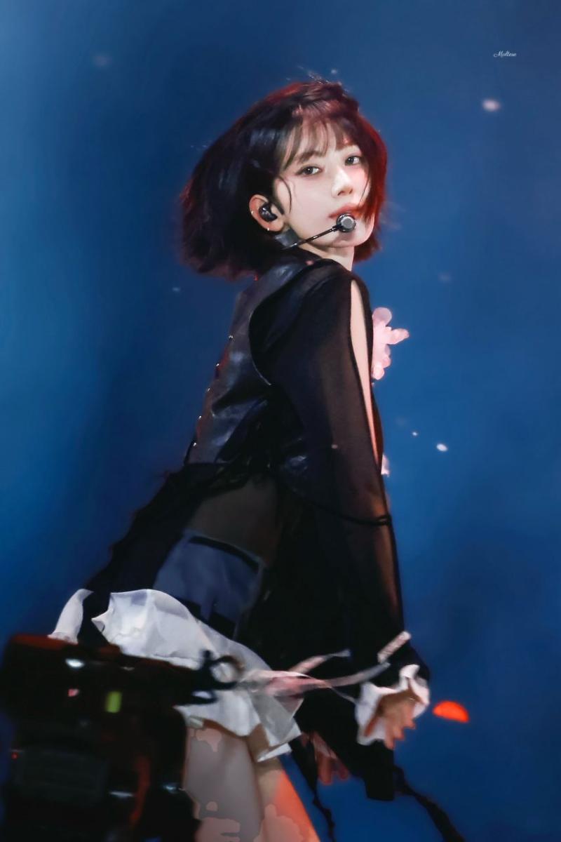 르세라핌 사쿠라