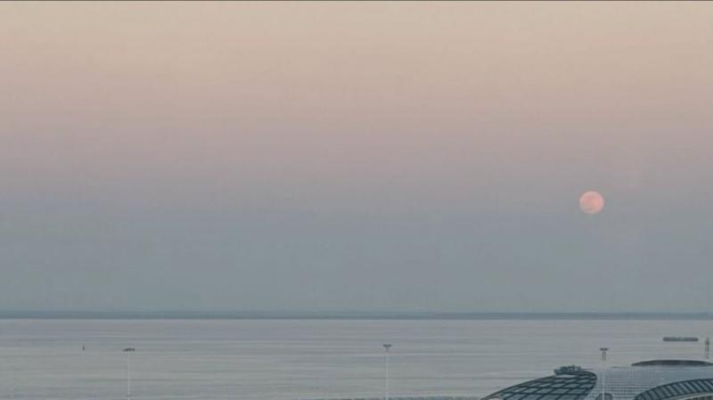 아이브 이서