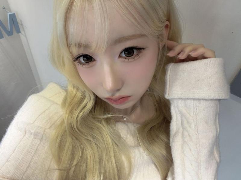 세이마이네임 메이