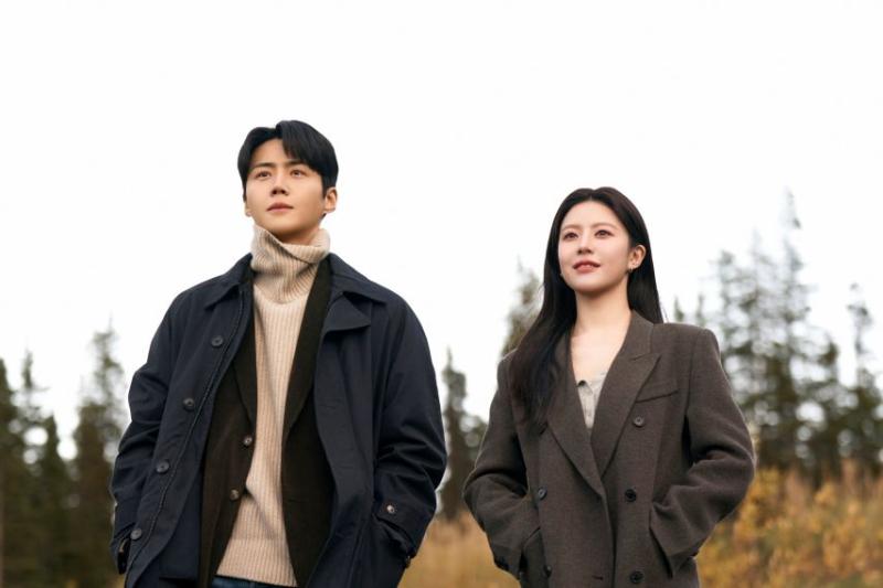 고윤정 김선호 이이담 등 이 사랑 통역 되나요?