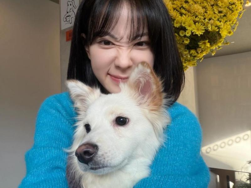 한지효
