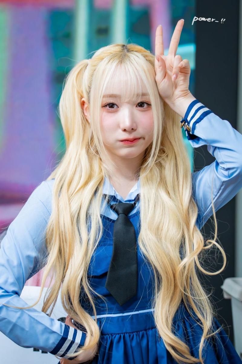 세이마이네임 메이