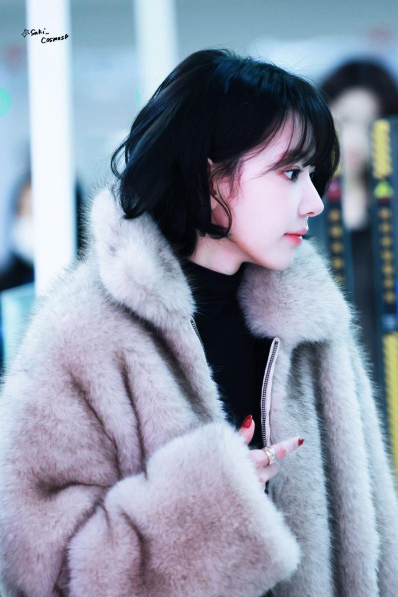 르세라핌 사쿠라