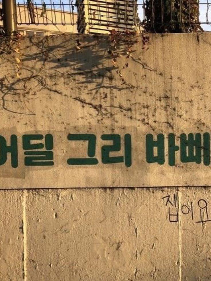 이채연