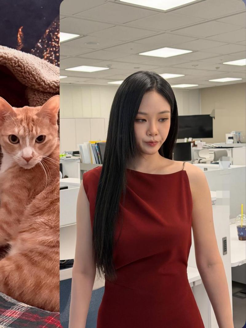 비비 김형서