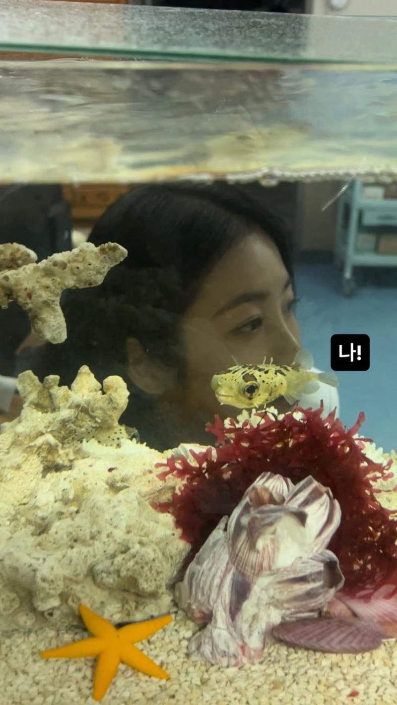 신예은