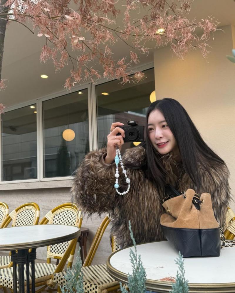 달샤벳 아영
