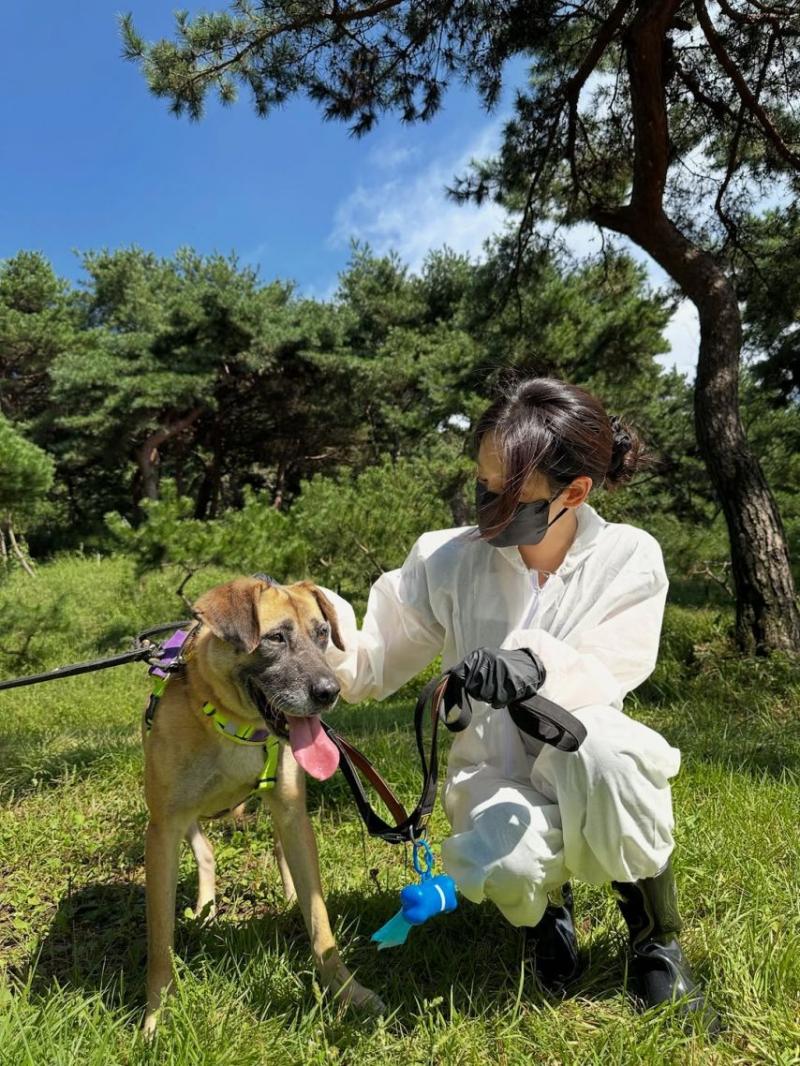 정유지