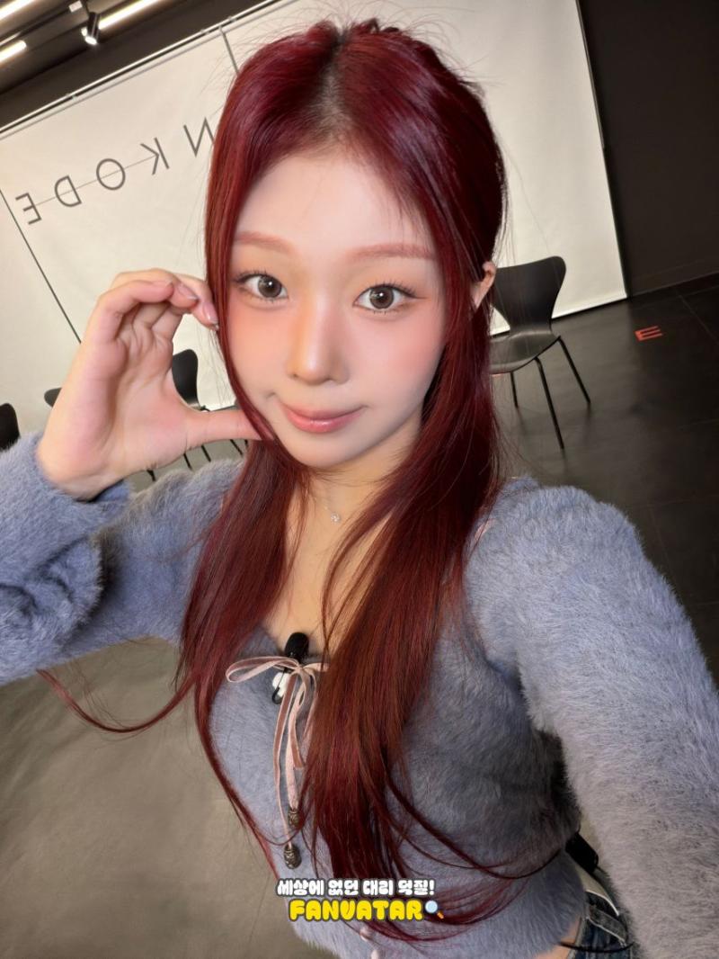 세이마이네임