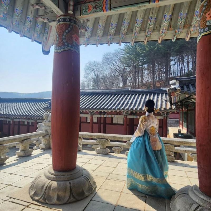 김정난 SNS