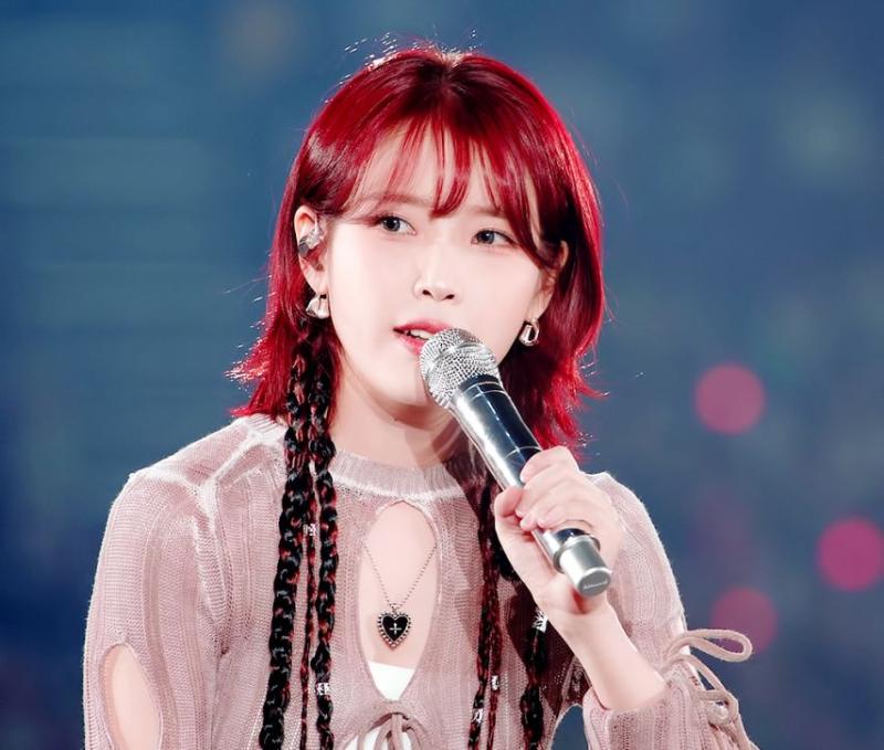 빨간 머리 알프스 소녀 콘서트 아이유 . JPGIF (약스압)