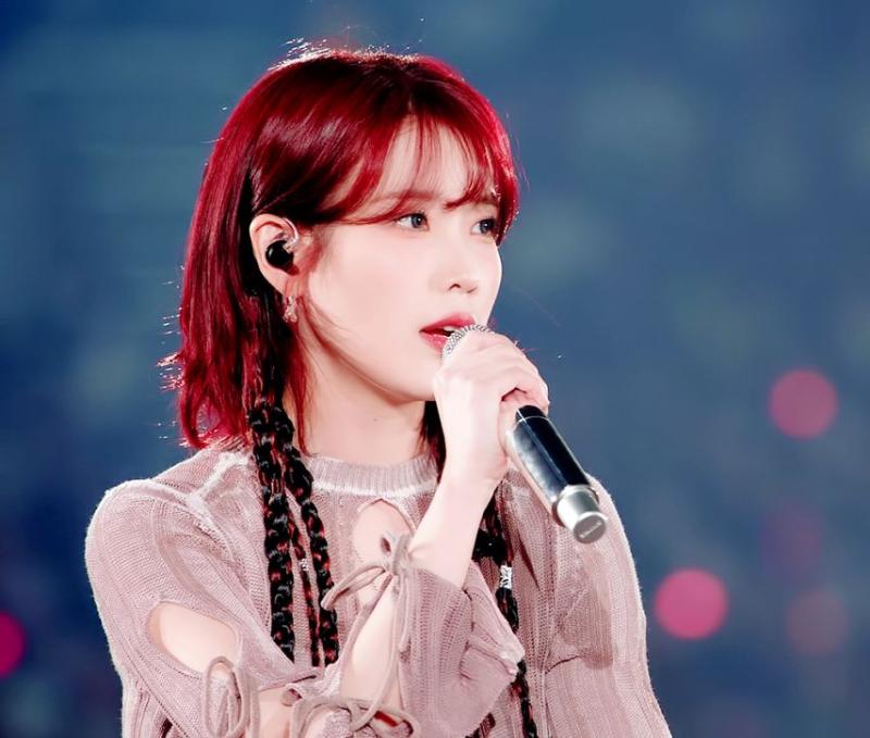 빨간 머리 알프스 소녀 콘서트 아이유 . JPGIF (약스압)