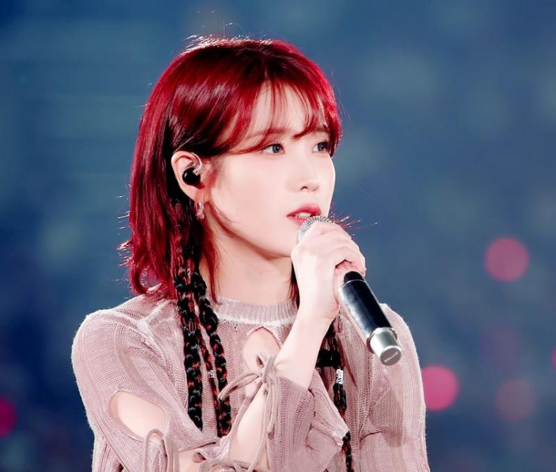빨간 머리 알프스 소녀 콘서트 아이유 . JPGIF (약스압)
