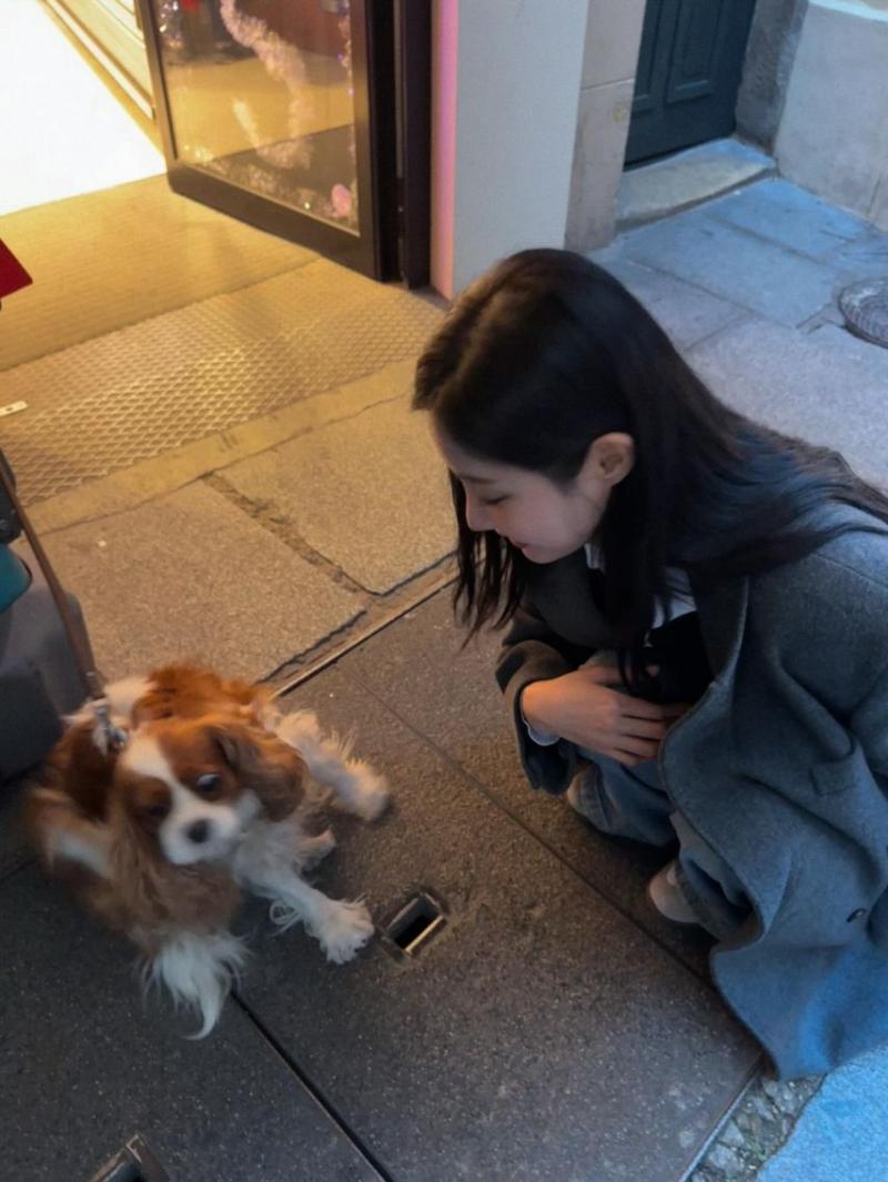 연우