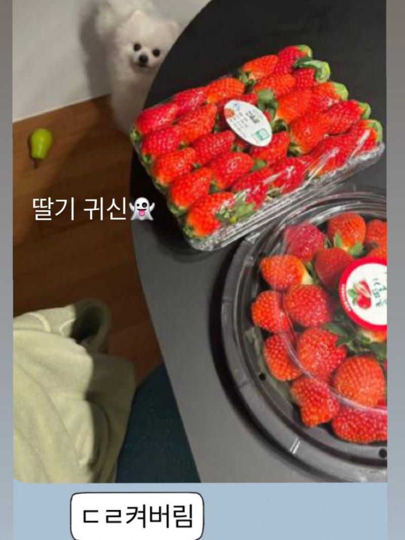 ITZY 리아