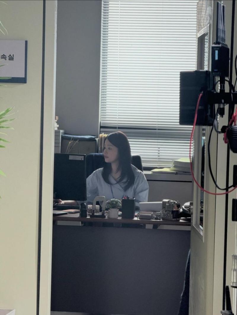 채서안
