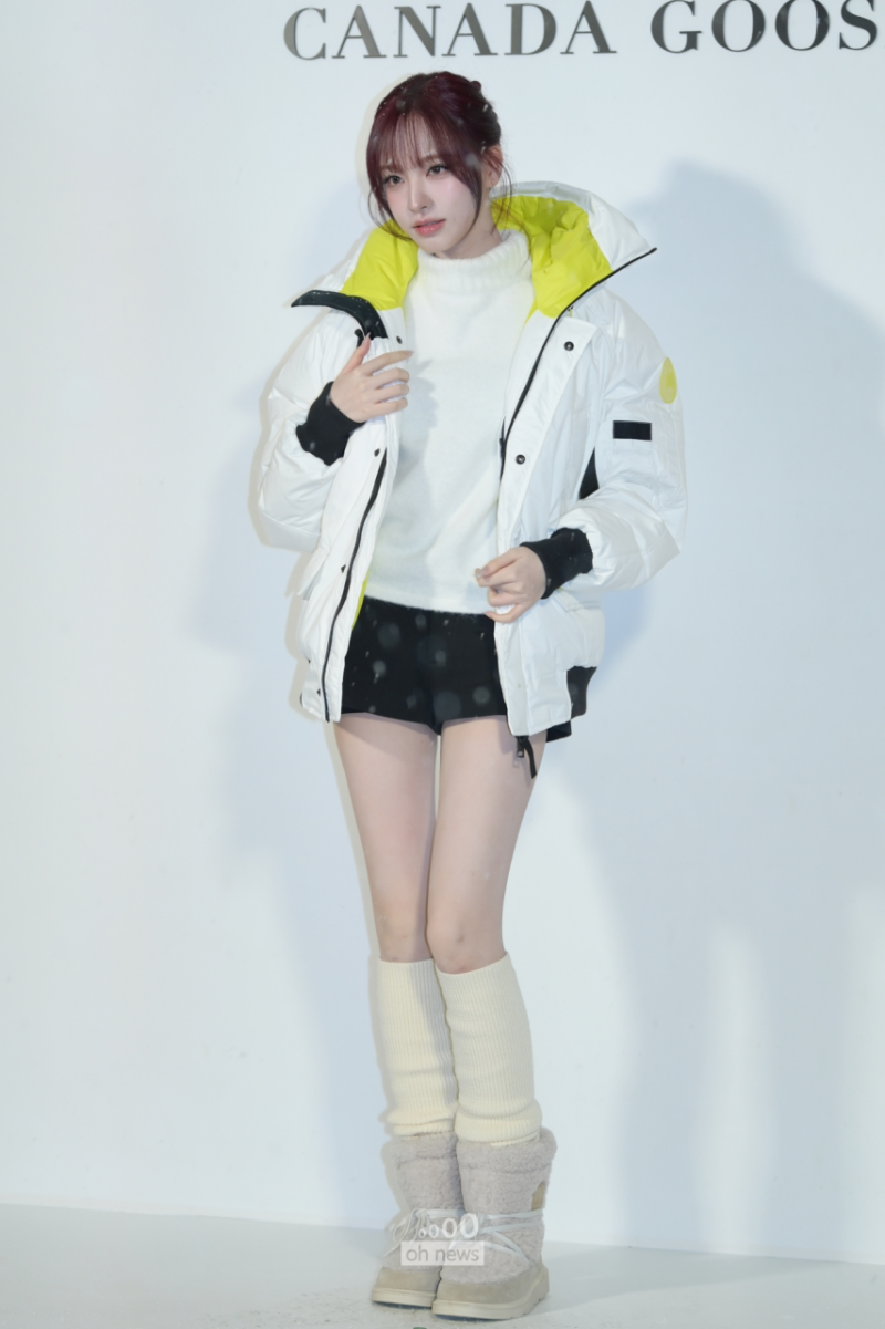 아이브 리즈