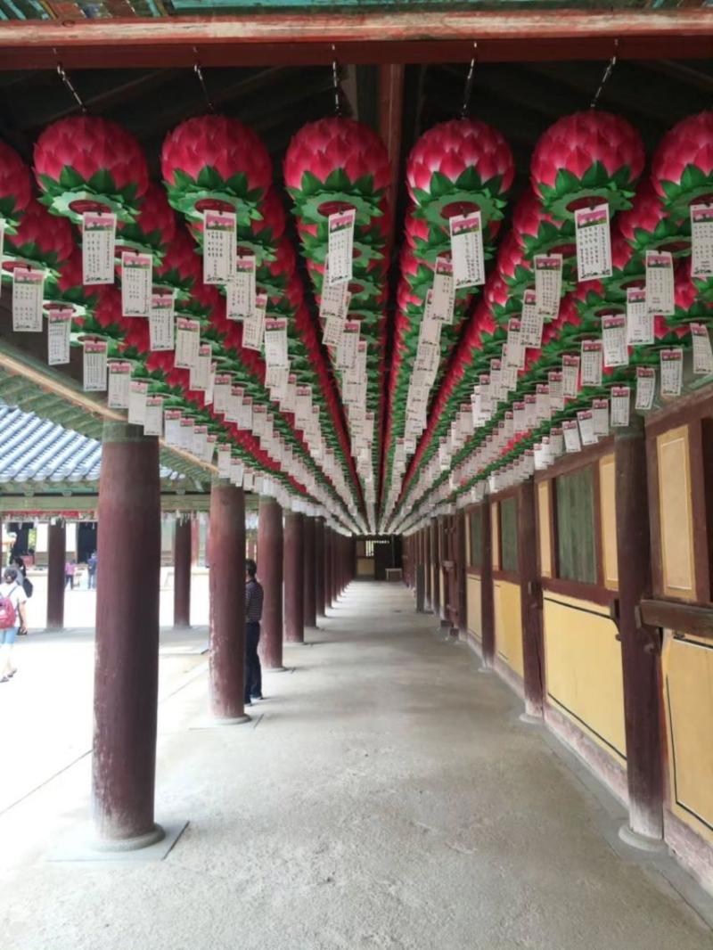 르세라핌 사쿠라,허윤진