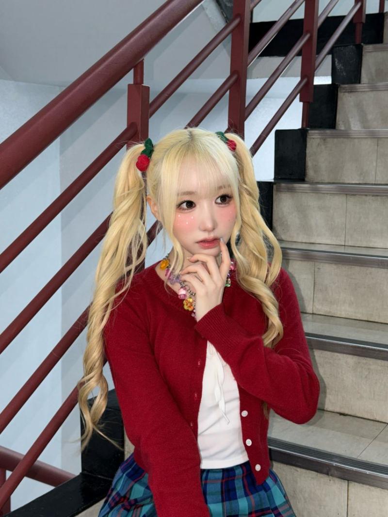 세이마이네임 메이