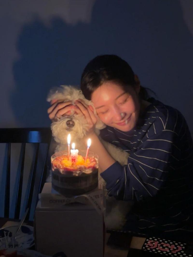 정채연