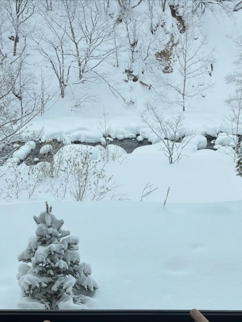 고아라 인별