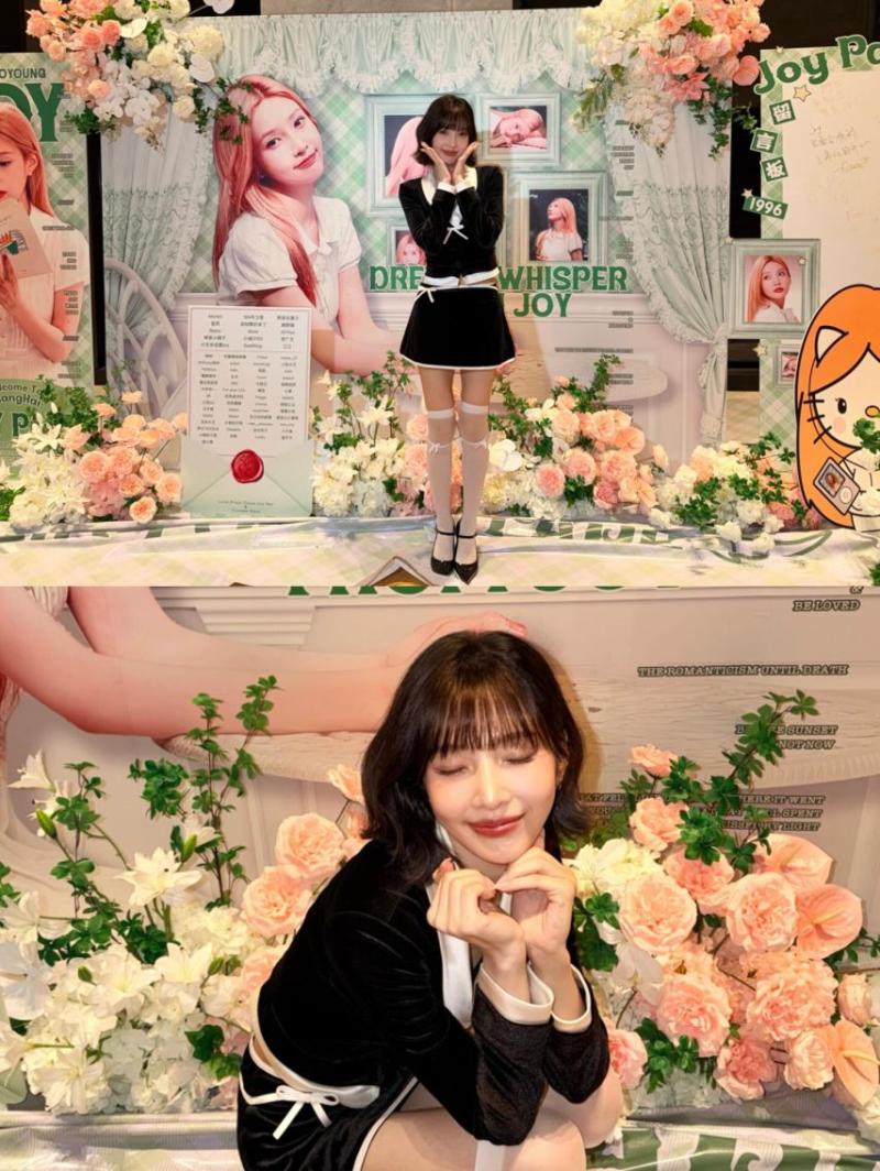 레드벨벳 조이