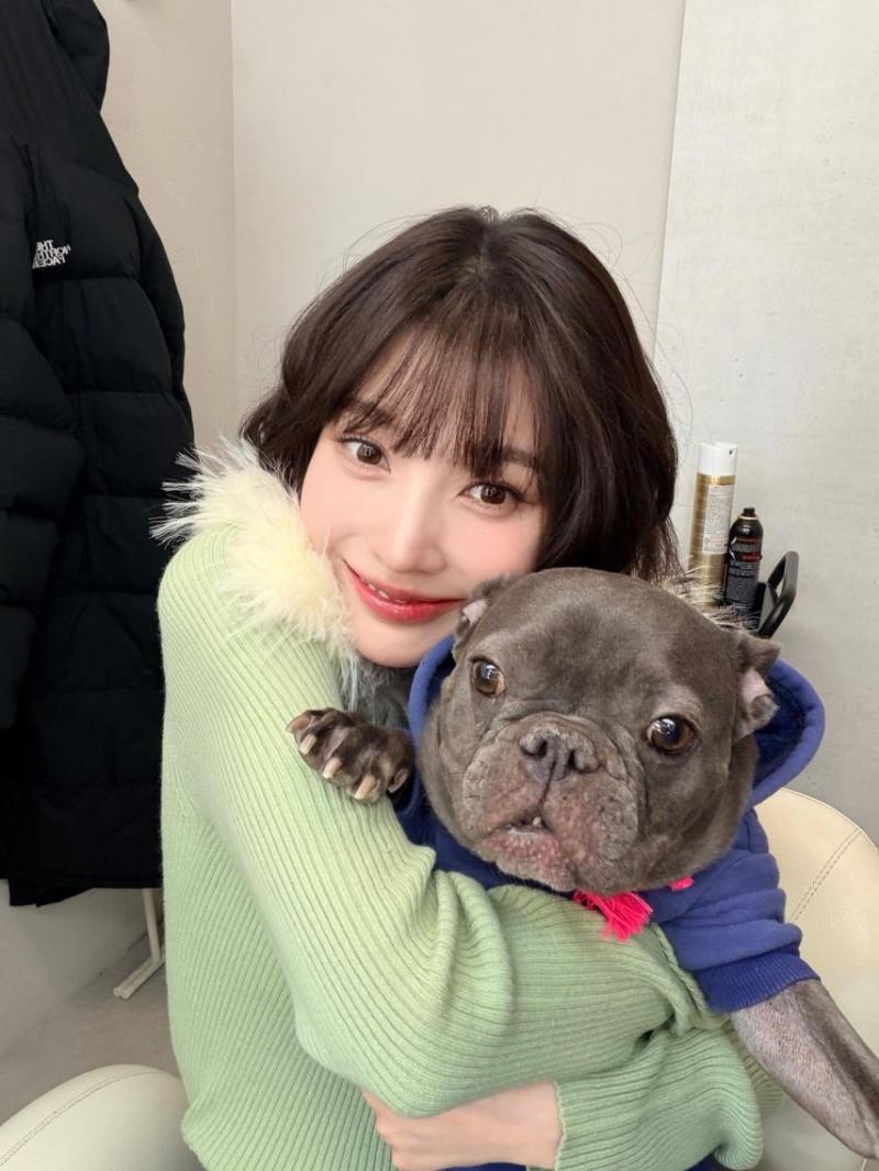 레드벨벳 조이