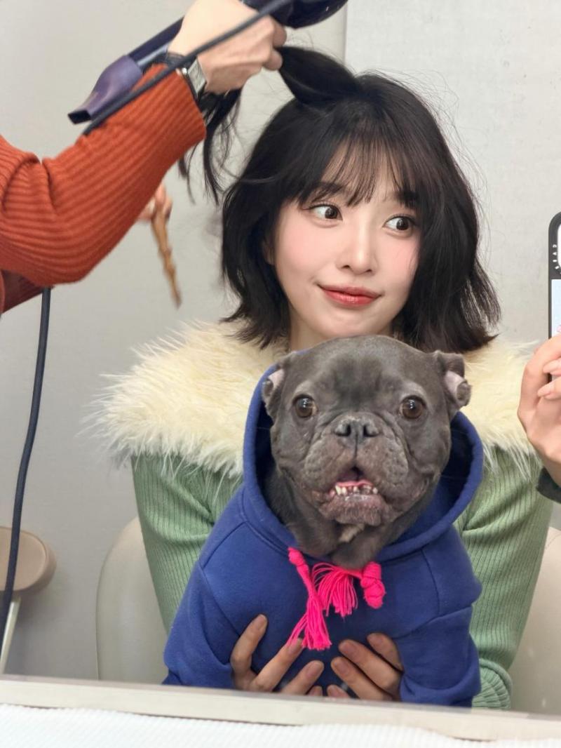 레드벨벳 조이