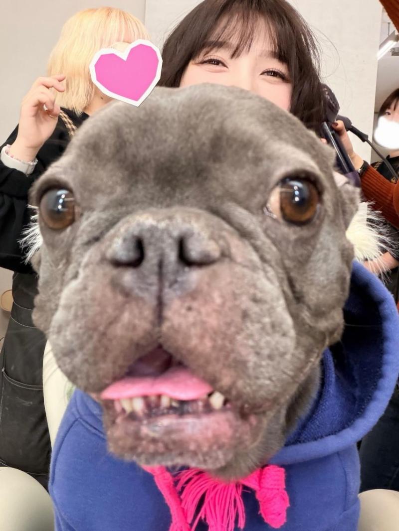 레드벨벳 조이