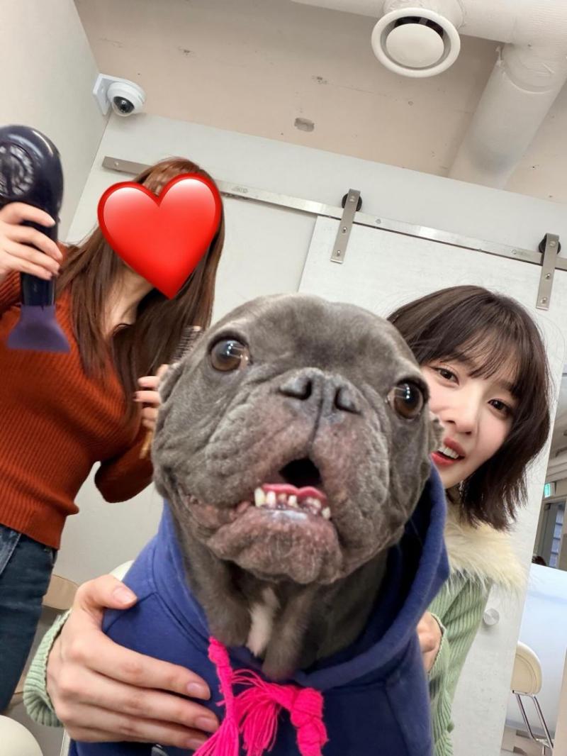 레드벨벳 조이