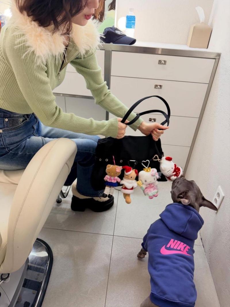 레드벨벳 조이