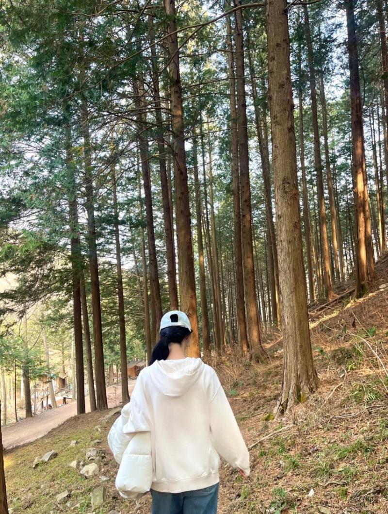 전혜연