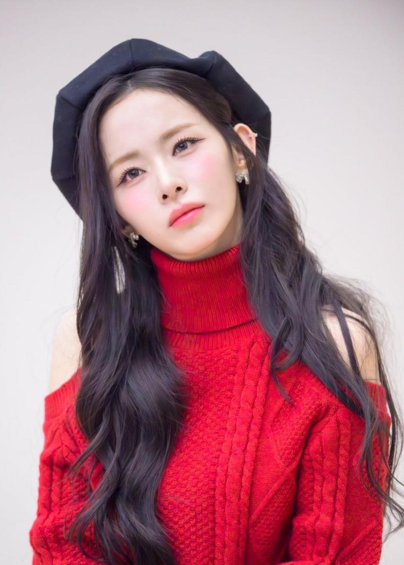 세이마이네임 슈이