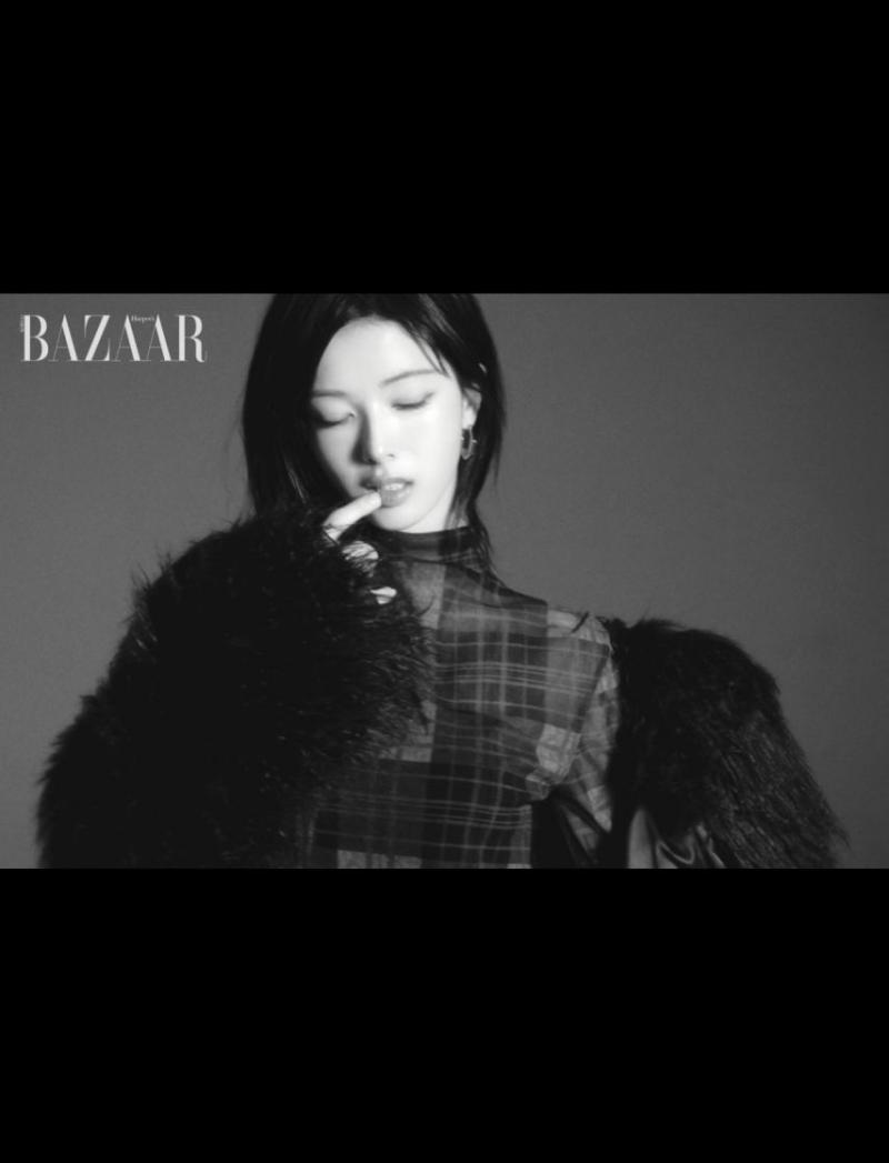 노정의 인별 등