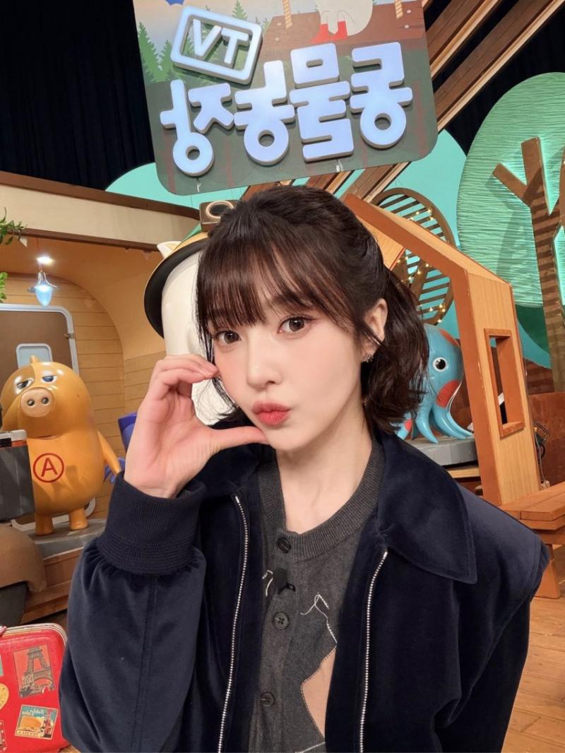 레드벨벳 조이