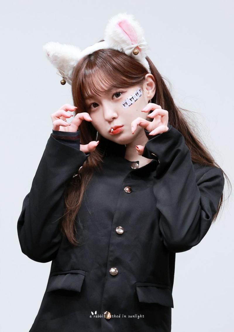 케플러 김채현
