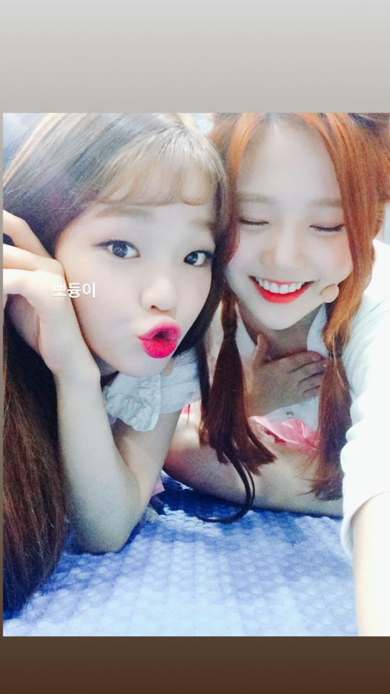 승희 오마이걸 960125 생일/ 유아 효정 인별