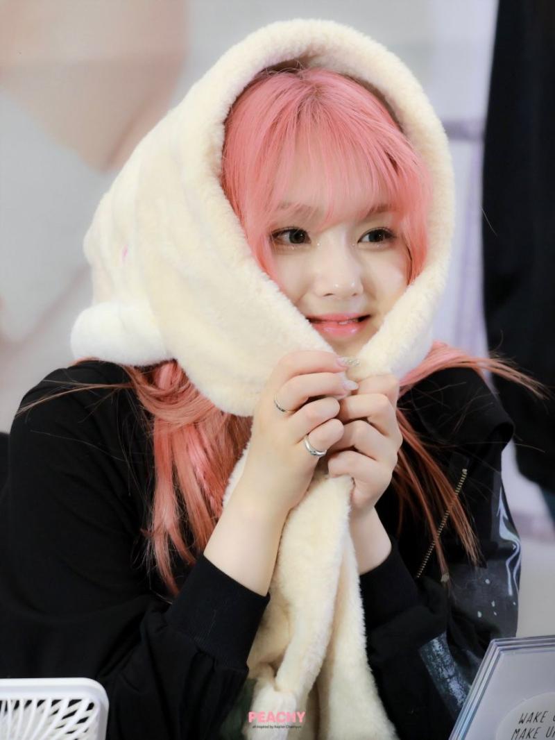 케플러 김채현