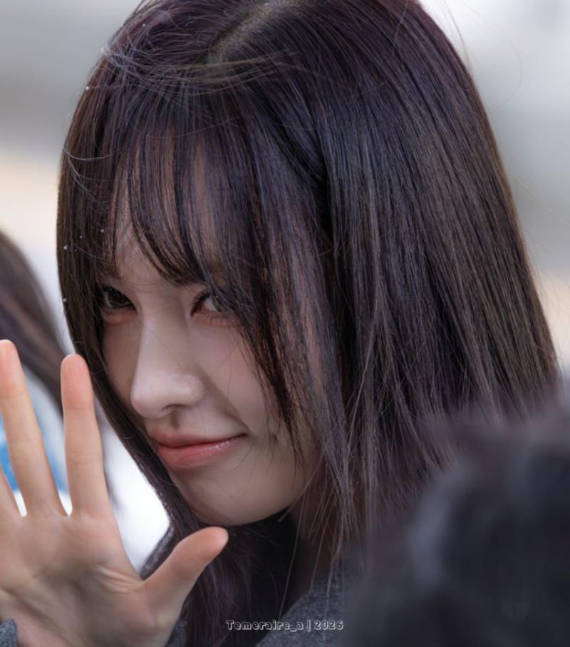 아이브 리즈