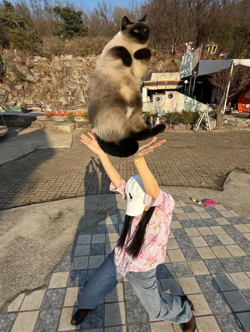 최윤지 인스타