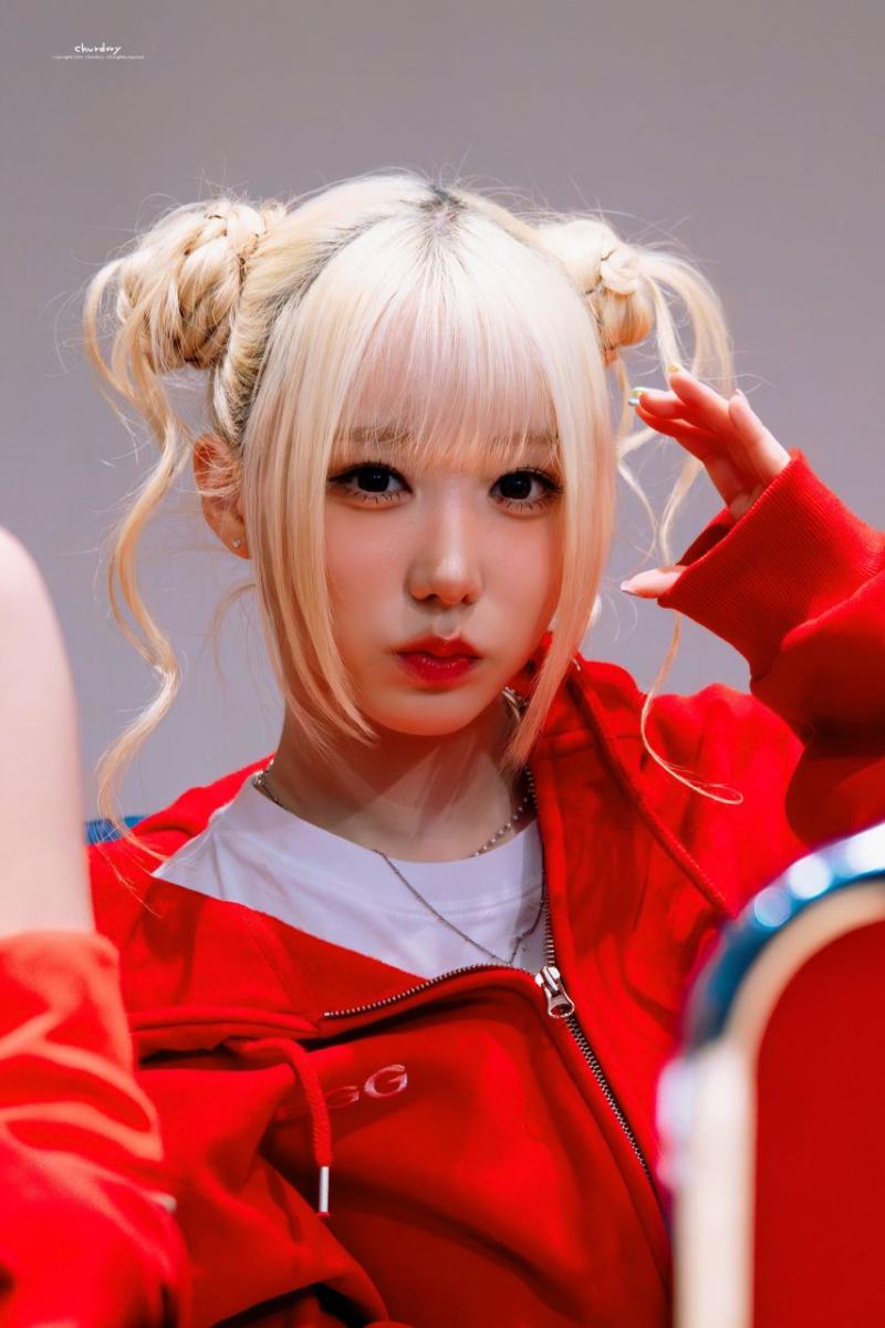 세이마이네임 메이