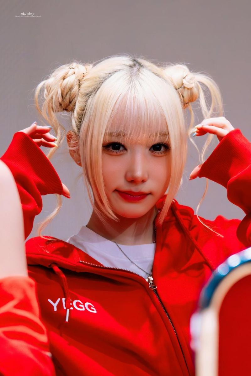 세이마이네임 메이