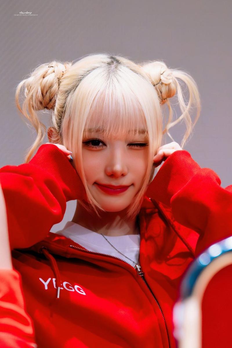 세이마이네임 메이