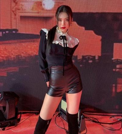 레드벨벳 조이