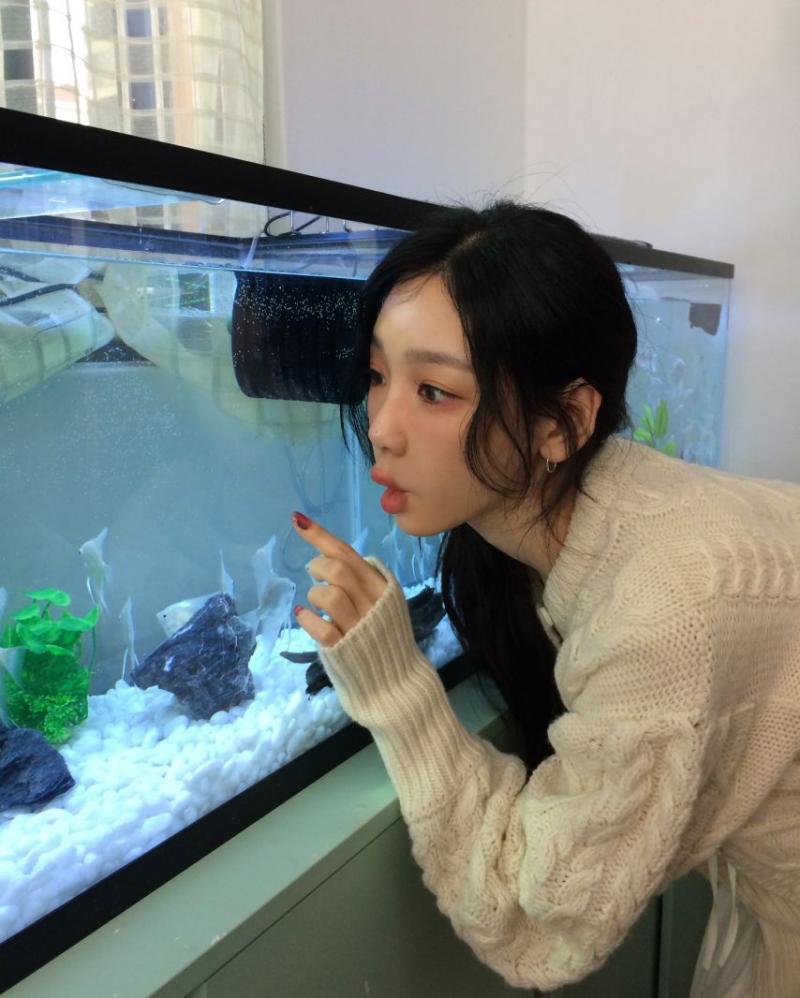 태연