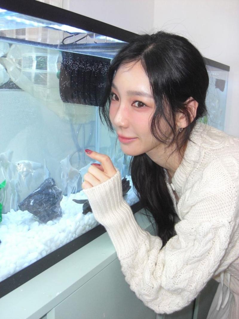 태연