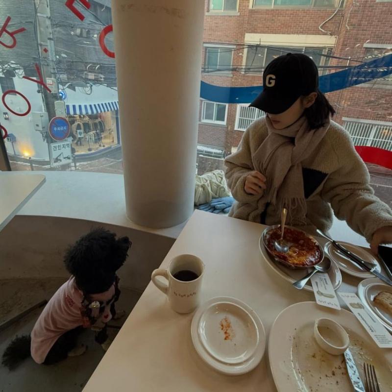 신도현