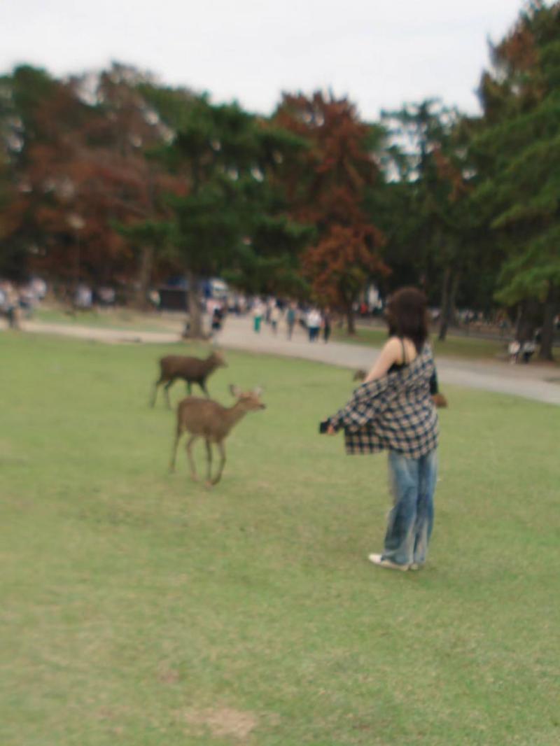 르세라핌 카즈하